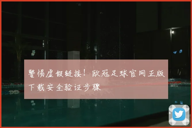 警惕虚假链接！欧冠足球官网正版下载安全验证步骤